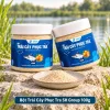 Bột Trái Cây Phục Tra SH Group 100g: 7 đặc điểm 3 Hai sản phẩm Bột Trái Cây Phục Tra SH Group 100g, một sản phẩm đứng và một sản phẩm nghiêng khoảng 30 độ, kèm đĩa bột minh họa.