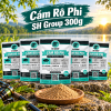 Cám Câu Cá Rô Phi SH Group 4 Năm gói Cám Rô Phi SH Group 300g trưng bày bên hồ, phía trước có đĩa cám