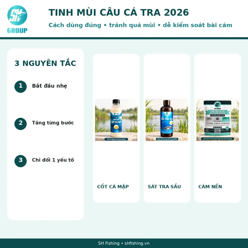 Tinh mùi câu cá tra 2026 SH Group cách dùng đúng