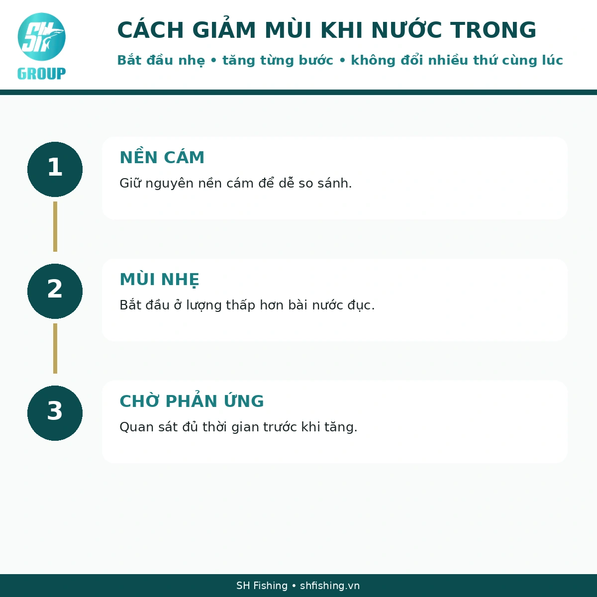 Cách Giảm Tinh Mùi Cá Tra Nước Trong Cách giảm tinh mùi câu cá tra khi nước trong